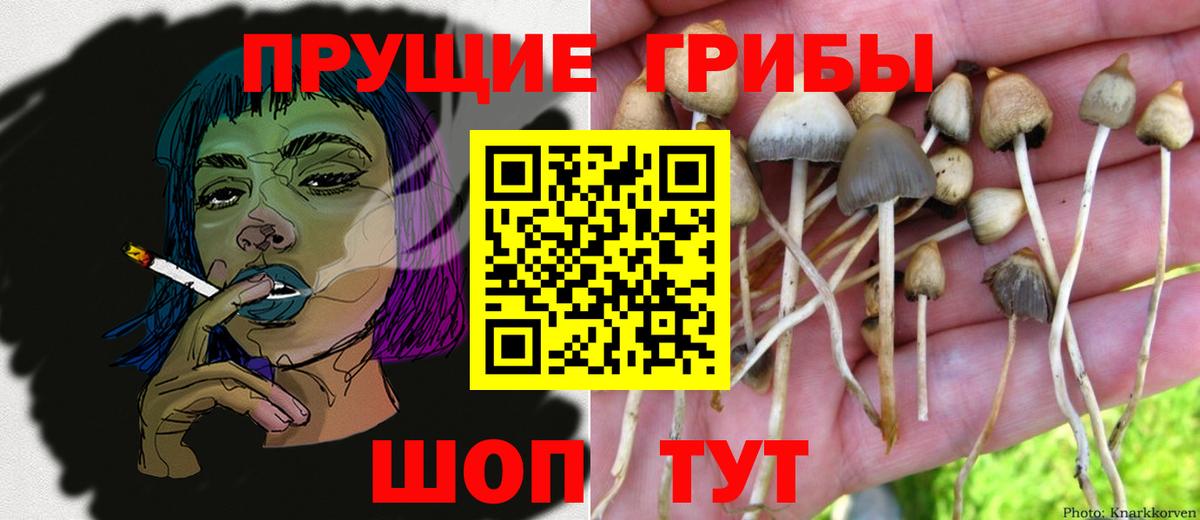 Псилоцибиновые грибы мицелий Реутов